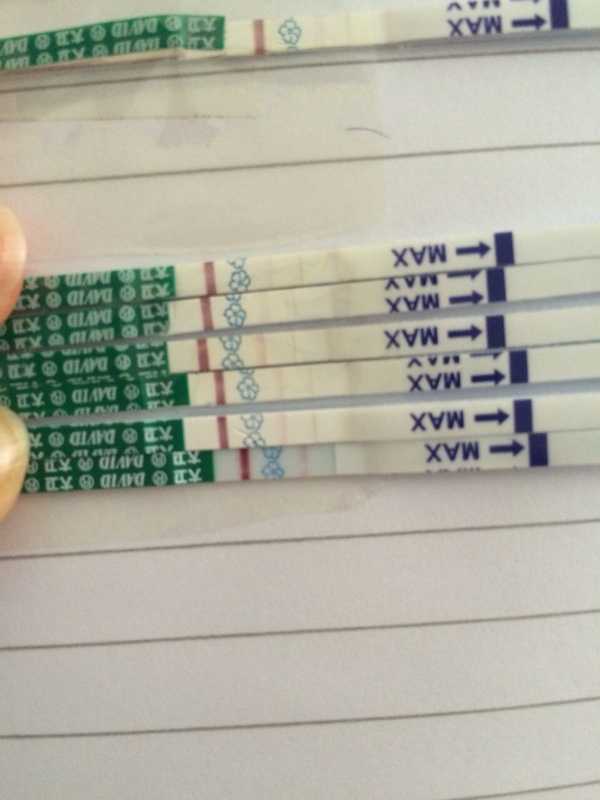 武汉多囊试管成功率高吗(武汉做试管婴儿成功率最高的医院)